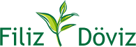 Filiz Döviz ve Altın Yetkili Müessese A.Ş.